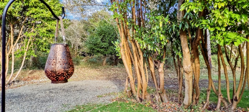 Building Photo - 711 N Third St