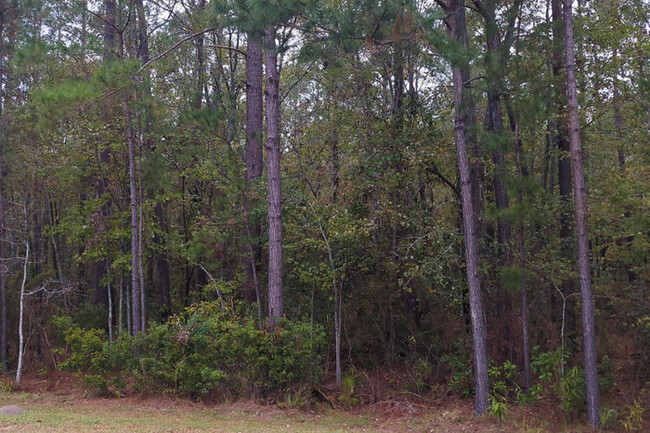 Building Photo - Stunning 5 Bedroom with Screened Back Porch!