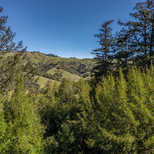 Building Photo - 25 Fir Ave