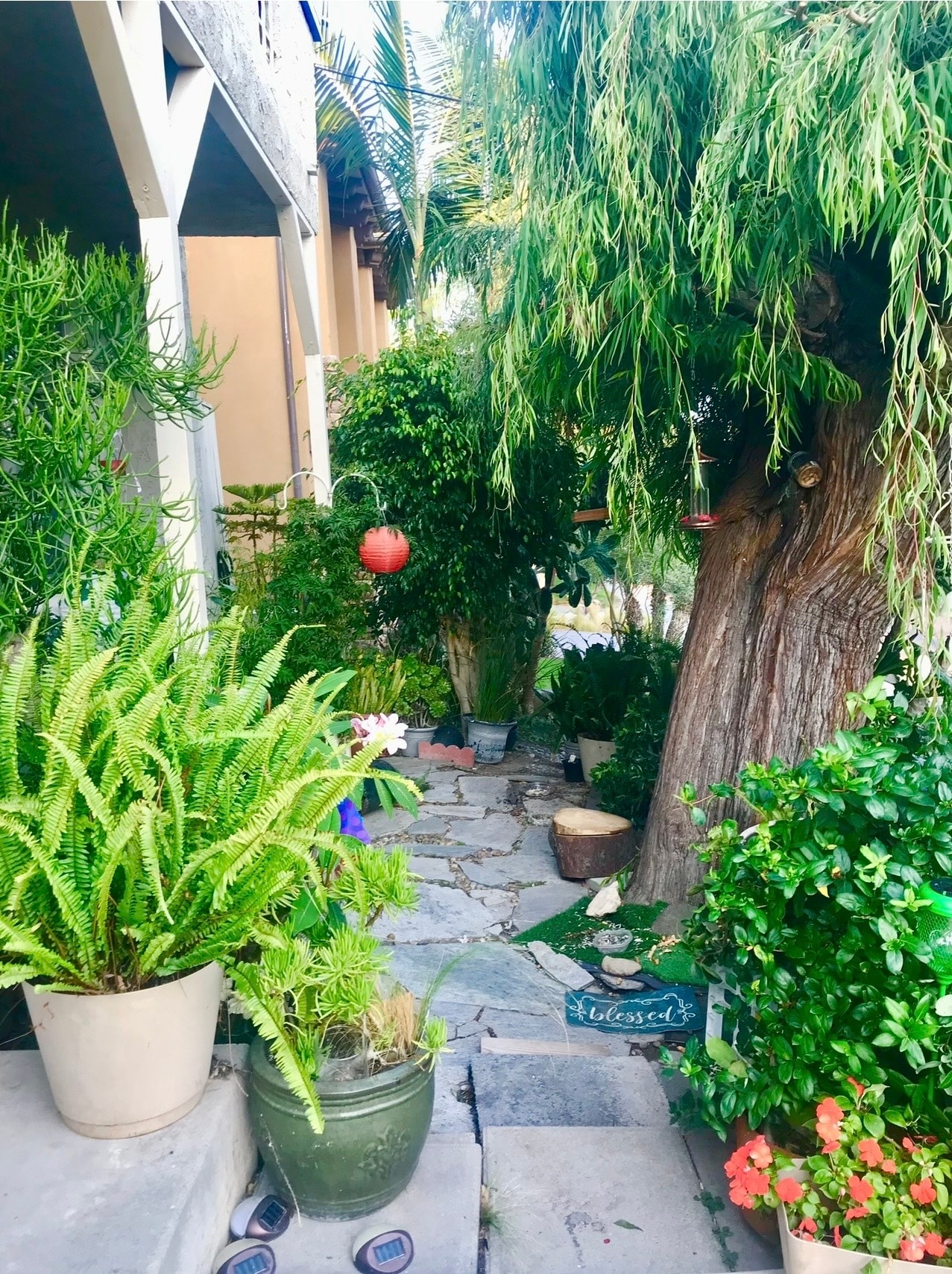 Building Photo - 2113 Clark Ln