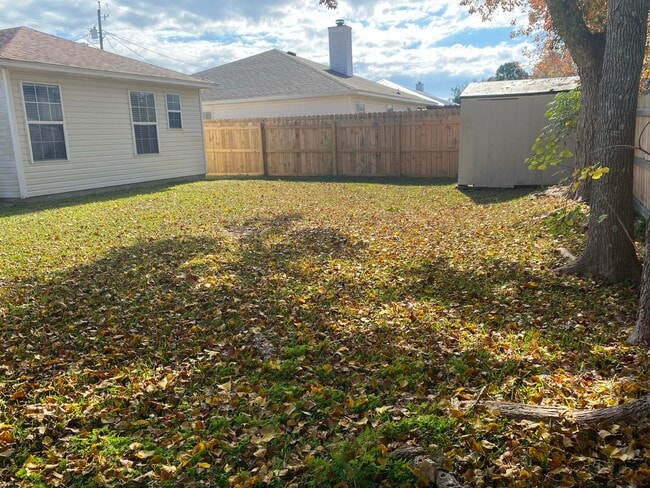 backyard to shed - 36 Stowe Rd