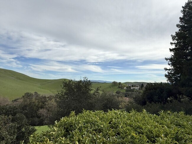 Building Photo - REDUCED ! Beautiful custom one story estate located on one of the most desirable streets in Black...