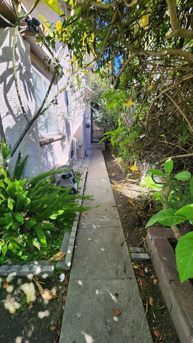 Private courtyard has space for bbq grill. - 116 S Dillon St