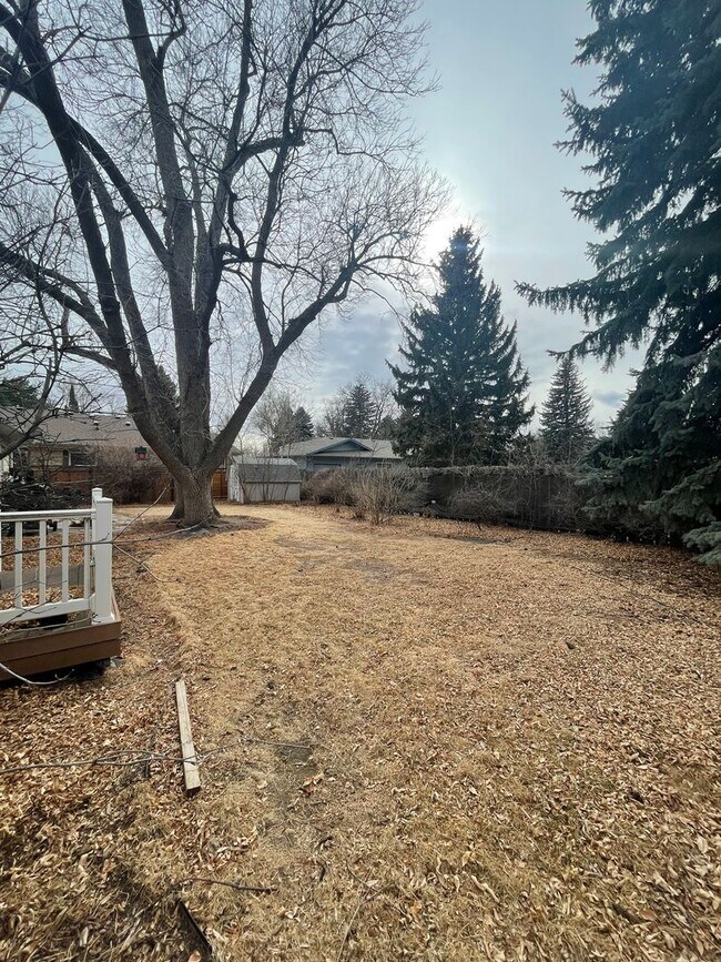 Building Photo - Cute Ranch Home w/ Fenced Yard and AC
