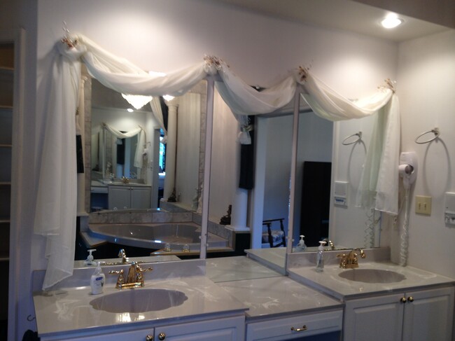 Jacuzzi tub in the Master bedroom - 6245 Iron Bridges Rd