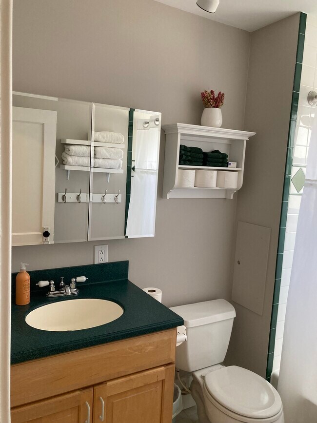 Bathroom - 1035 Newton Ave