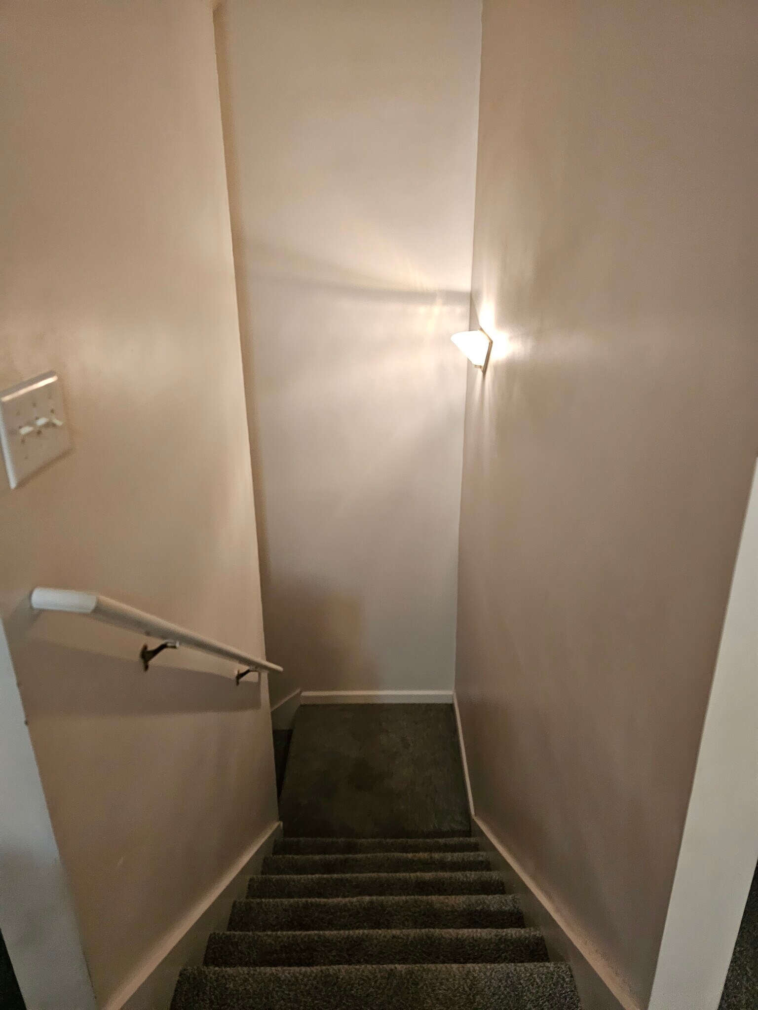 Bonus room stairs - 12222 Crestwood Ct