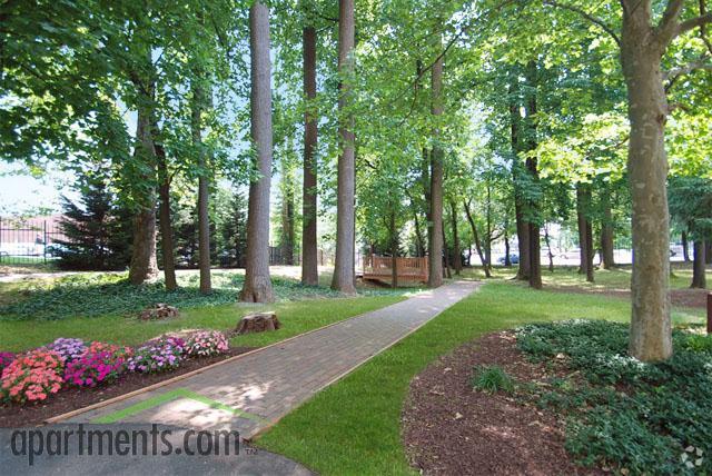 Recreation Area - The Grand