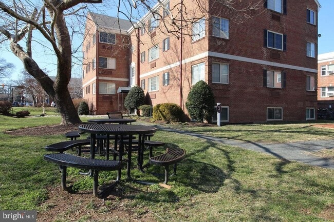 Building Photo - Wonderful studio condo in the heart of Old Town!!