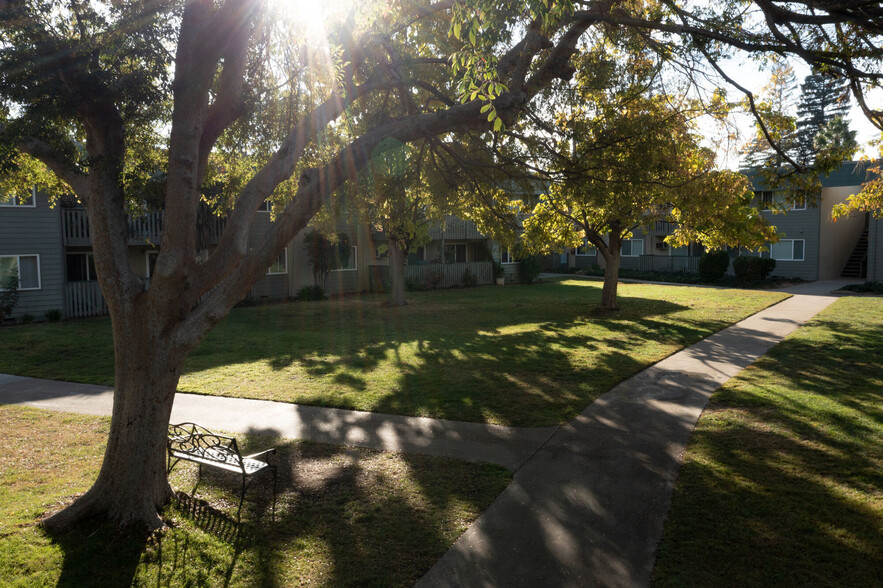 Primary Photo - McClellan Terrace