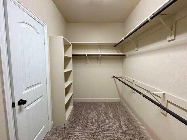 Building Photo - 433 Mistflower Springs Dr