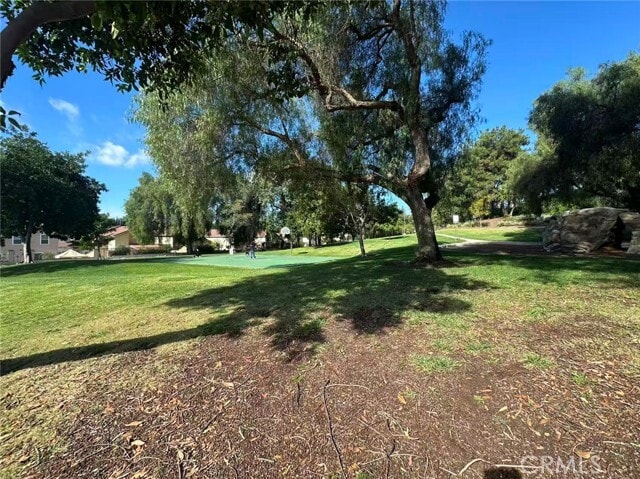 Building Photo - 3231 Olympic View Dr