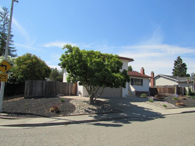 Building Photo - Beautiful 4 Bed, 2.5 Bath Home in Perfect San Ramon Location