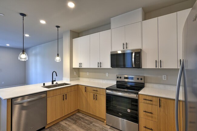 Building Photo - Brand New Luxury Townhomes