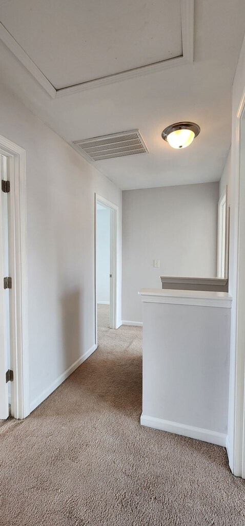 Building Photo - 1607 Musket Trail