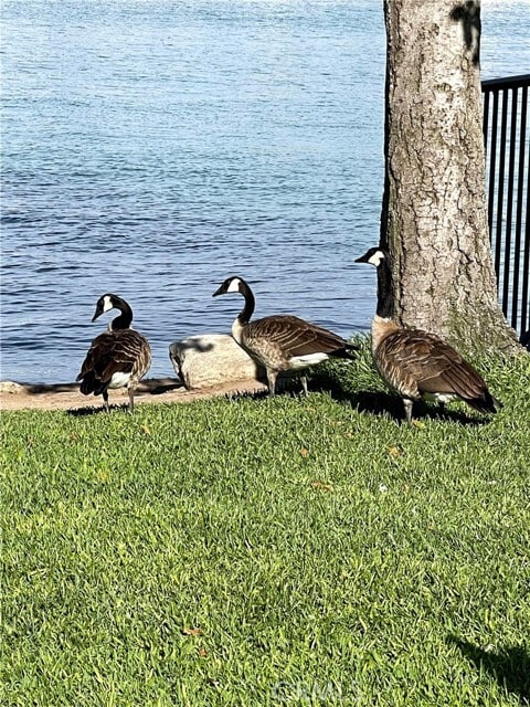 Building Photo - 3 Rushingwind