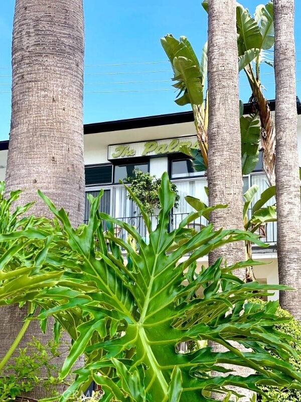 Building Photo - 250 Cliff Dr