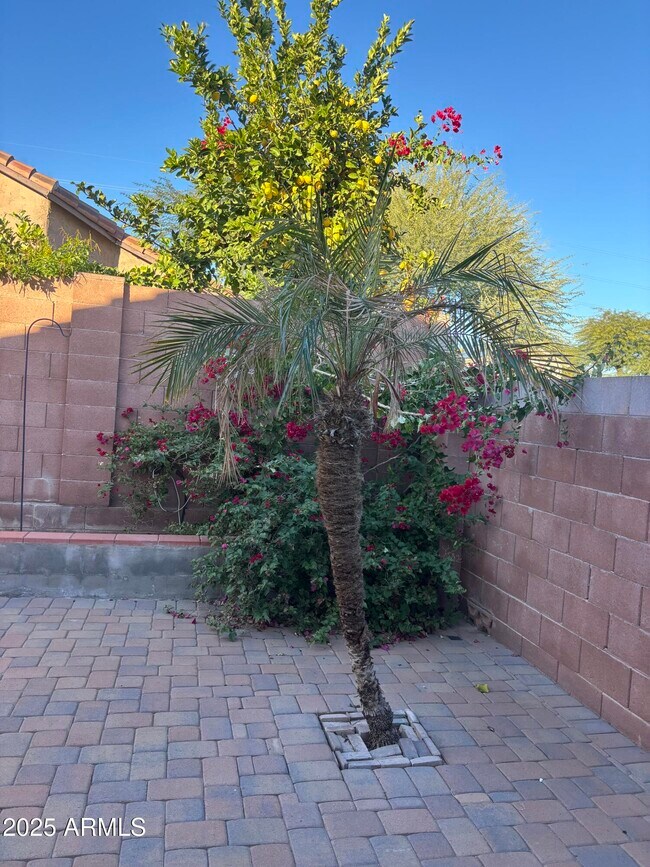 Building Photo - 2221 E Union Hills Dr