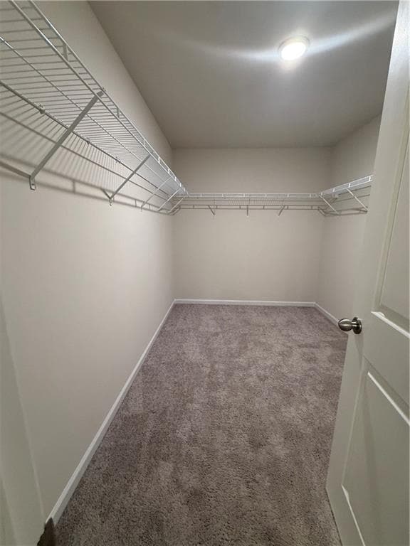 Building Photo - 1004 Merritt Dr