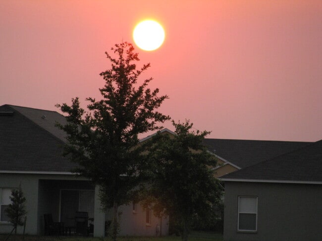 Building Photo - 3905 Flowering Orchid Ln