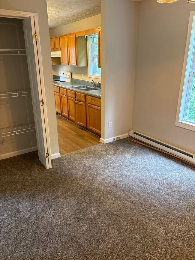 Building Photo - Newly Remodeled 3 Bedroom in East Asheville