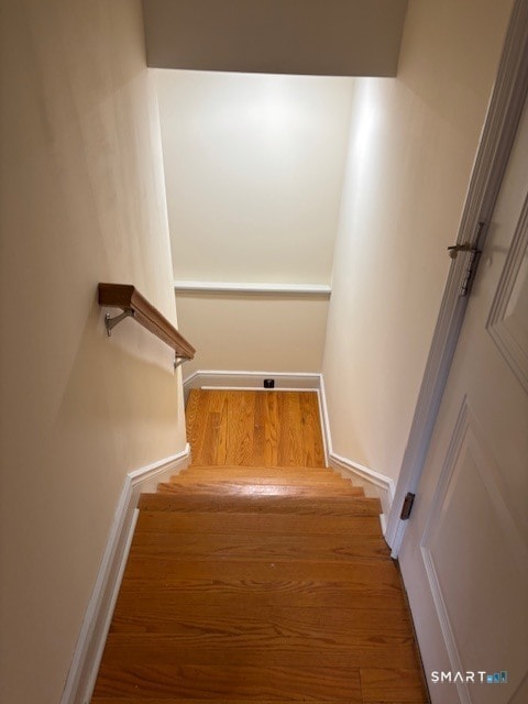 Building Photo - 88 Maple Tree Ave