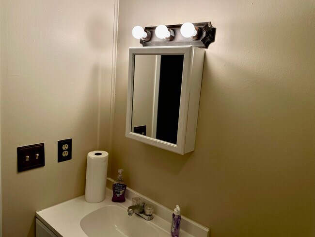 Hall Bathroom - 311 Rugby Rd