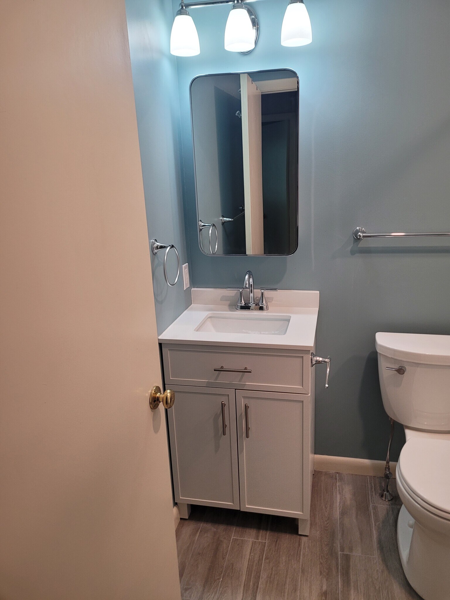 Full bath. New sink, cabinet, toilet, medicine cab - 165 Pheasant Ln