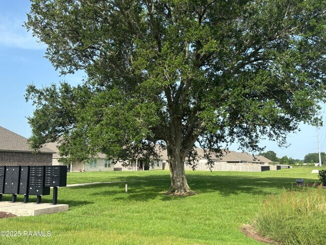 Building Photo - 205 Acadian Lk Dr