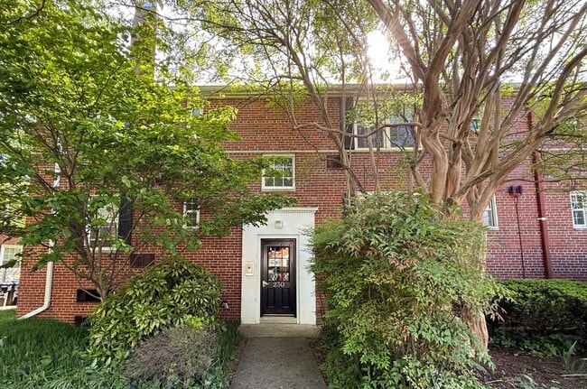 Building Photo - 230 N George Mason Dr