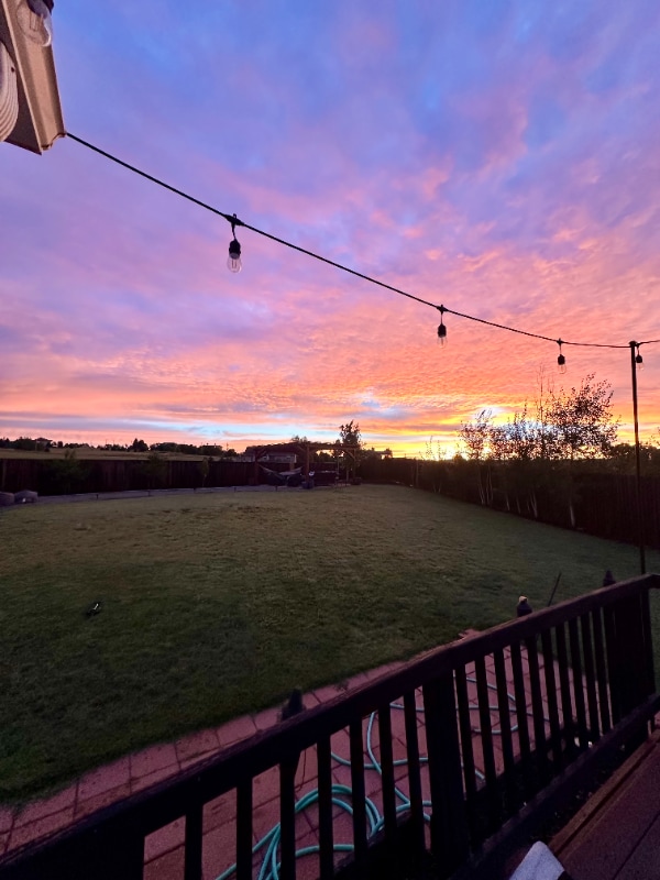 Building Photo - 6743 Harvey Ln