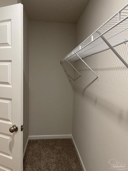 Building Photo - 10942 Blacktail Loop