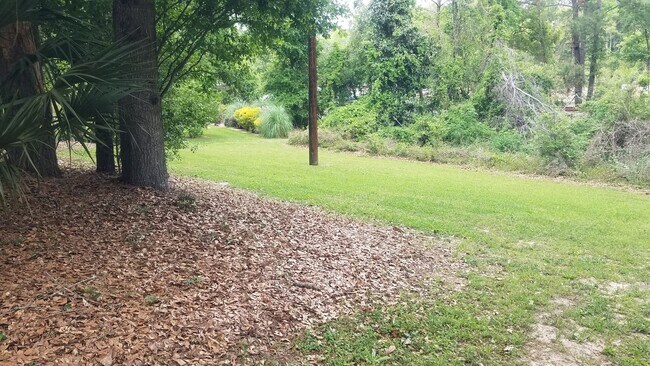 Building Photo - 3 Bedroom/2 Bath Home in New Wood Valley