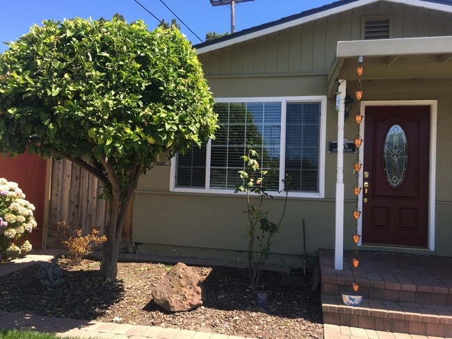 Building Photo - 2376 Forbes Ave