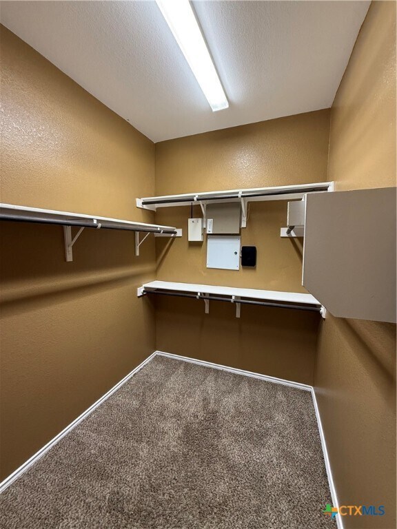 Building Photo - 305 Leather Oak Loop