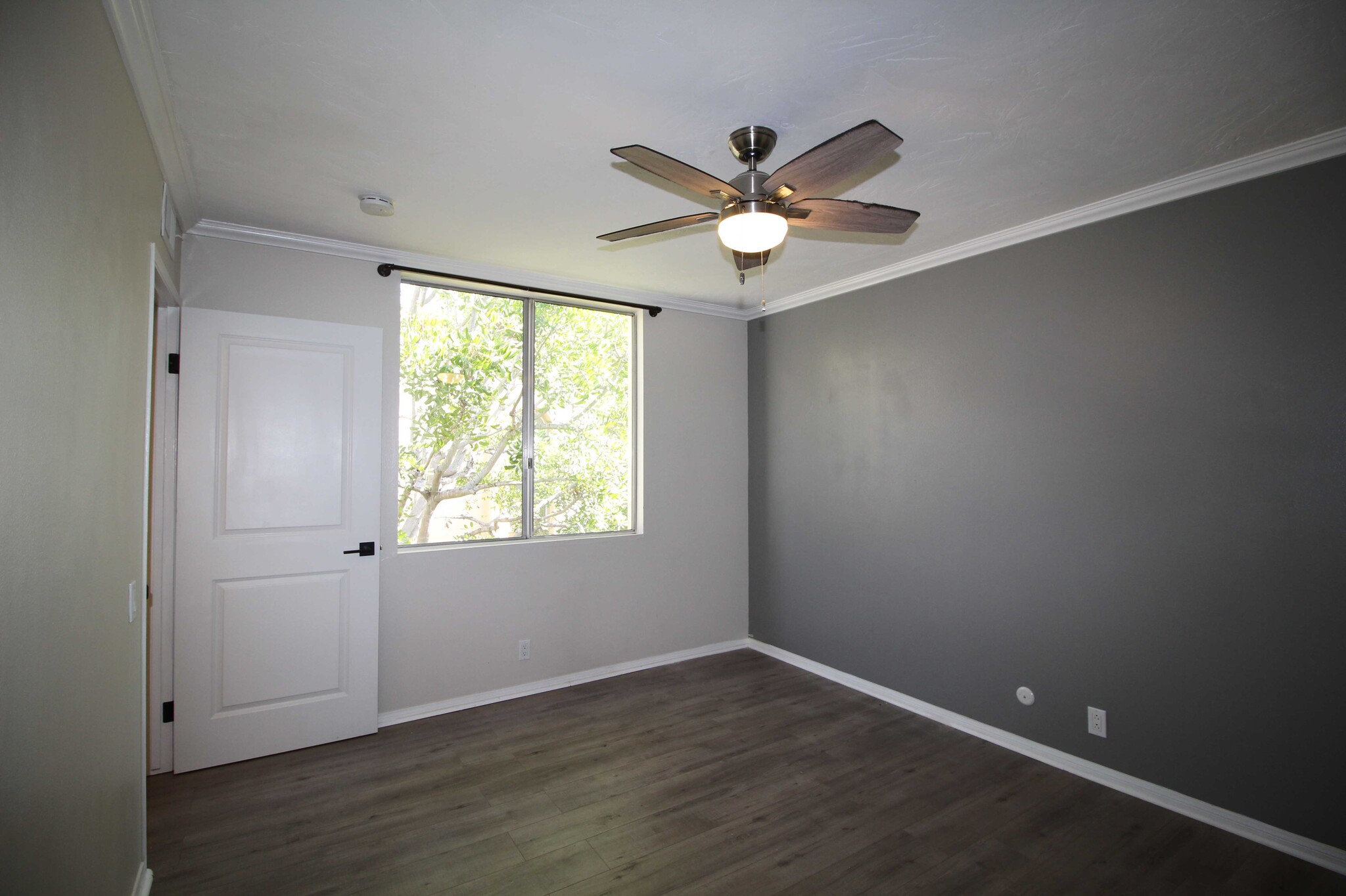 Building Photo - 4879 Collwood Blvd