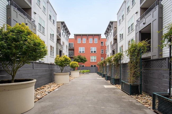 Building Photo - 8200 Oceanview Terrace