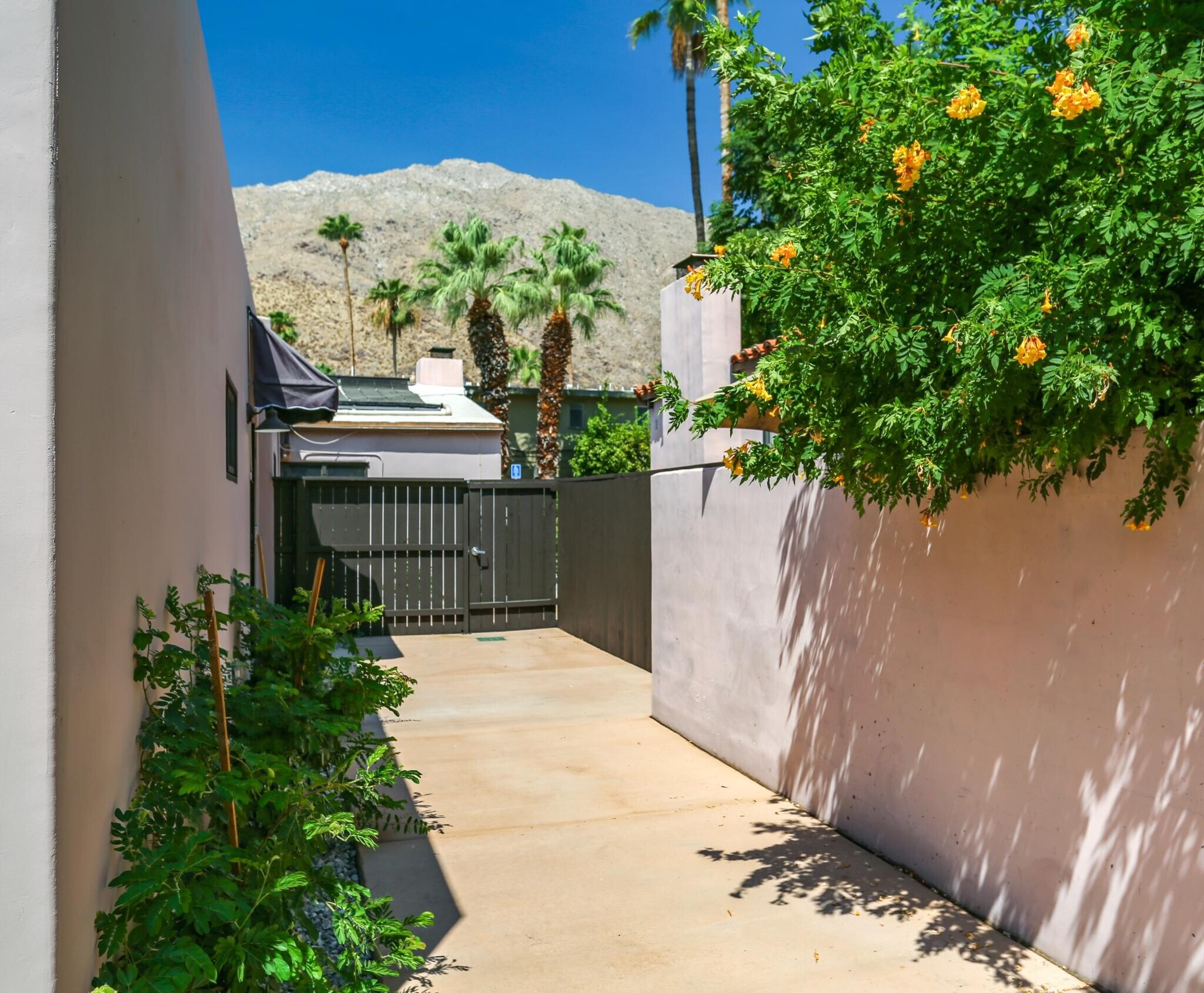 Building Photo - 133 Ocotillo Ave