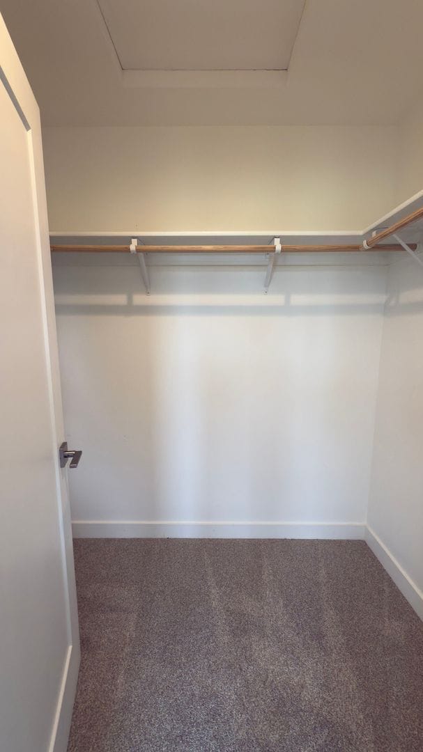 Building Photo - 35680 Bella Rdg Lp