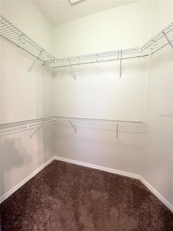 Building Photo - 3009 Clover Blossom Cir