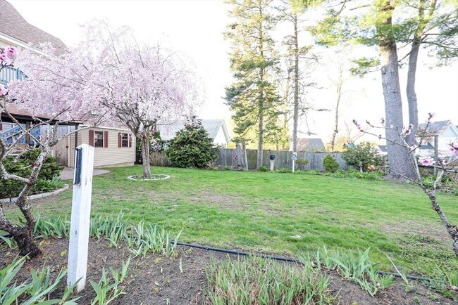 Building Photo - 19 Burton Terrace