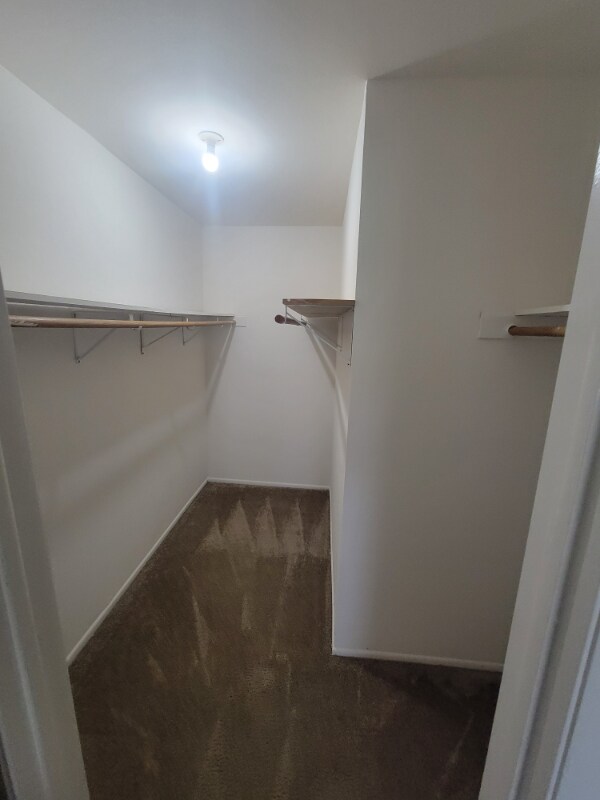 Building Photo - 547 Brookside Dr