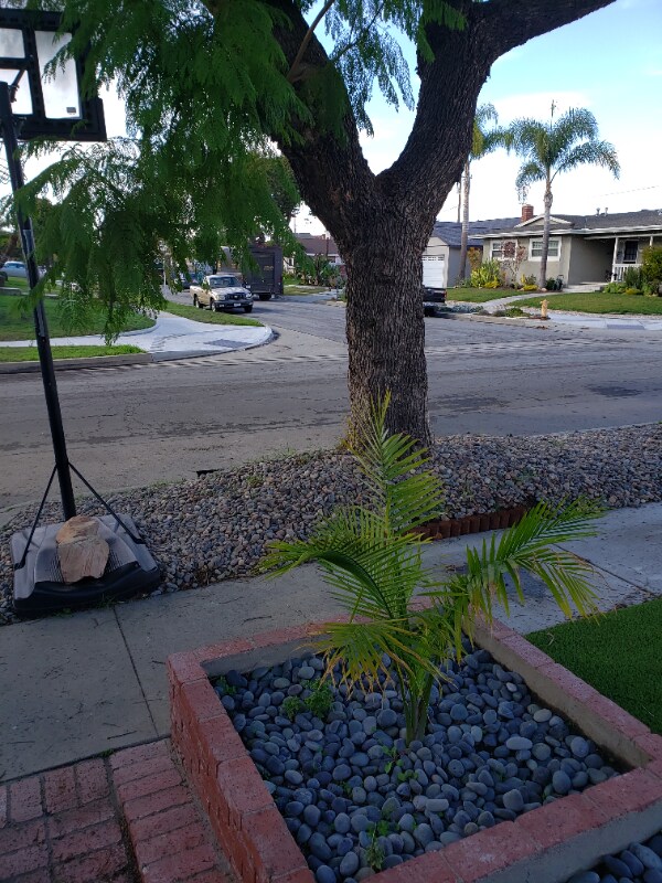 Building Photo - 3344 Petaluma Ave