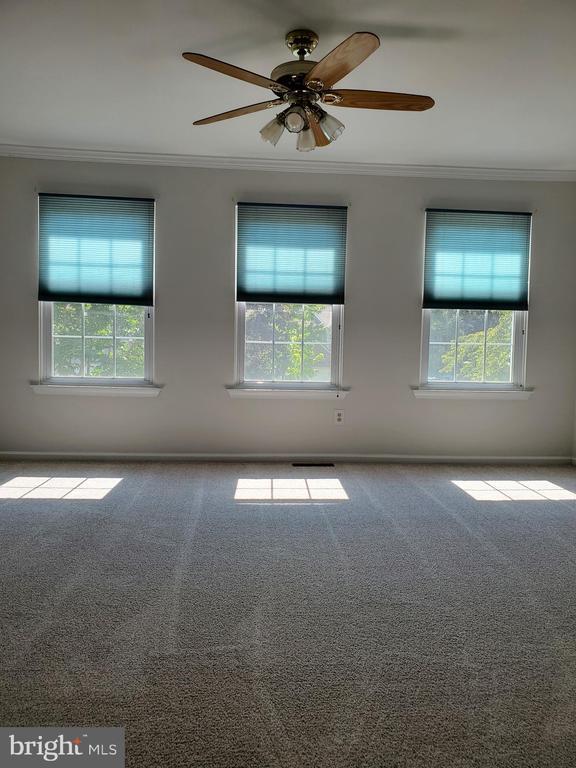 Building Photo - 261 Tulip Tree Ct