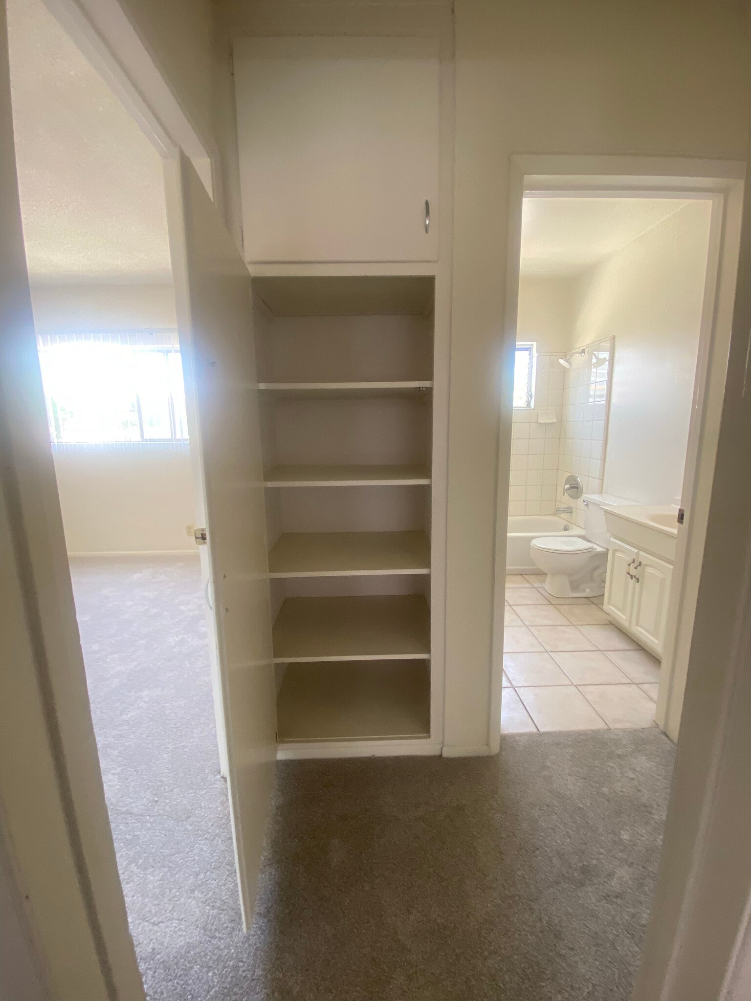 hallway storage - 715 S Adams St
