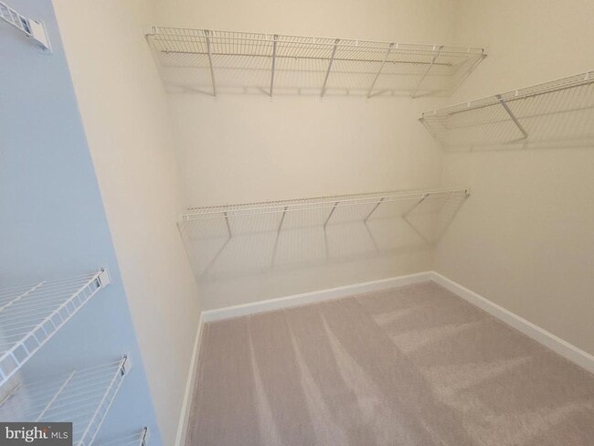 Building Photo - 3926 Shawfield Ln
