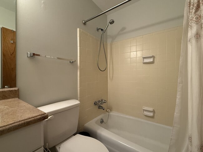 Building Photo - 3208 Bolgos Cir