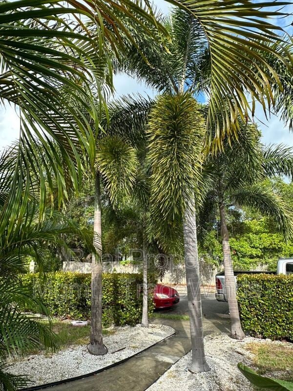 Building Photo - 1211 N Osceola Ave