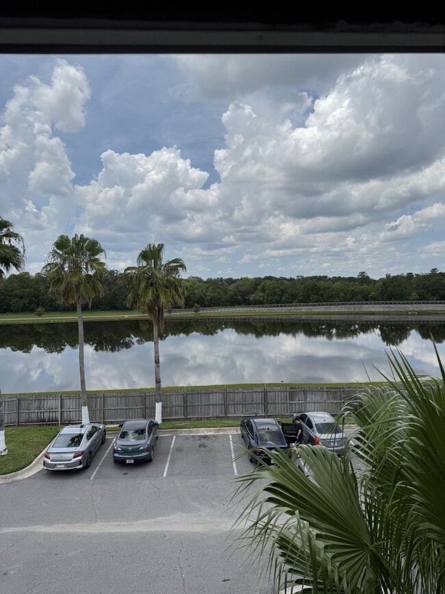 Building Photo - 2216 Grand Cayman Ct