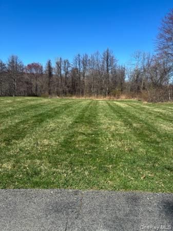 Building Photo - 95 Lexington Dr